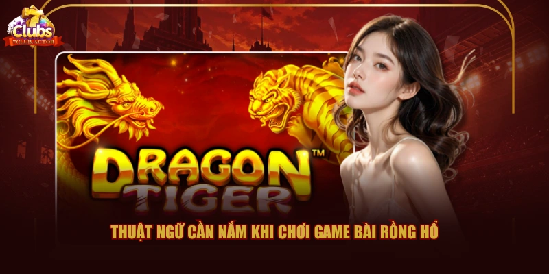 Thuật ngữ cần nắm khi chơi game bài Rồng Hổ