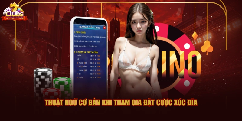 Thuật ngữ cơ bản khi tham gia đặt cược Xóc Đĩa